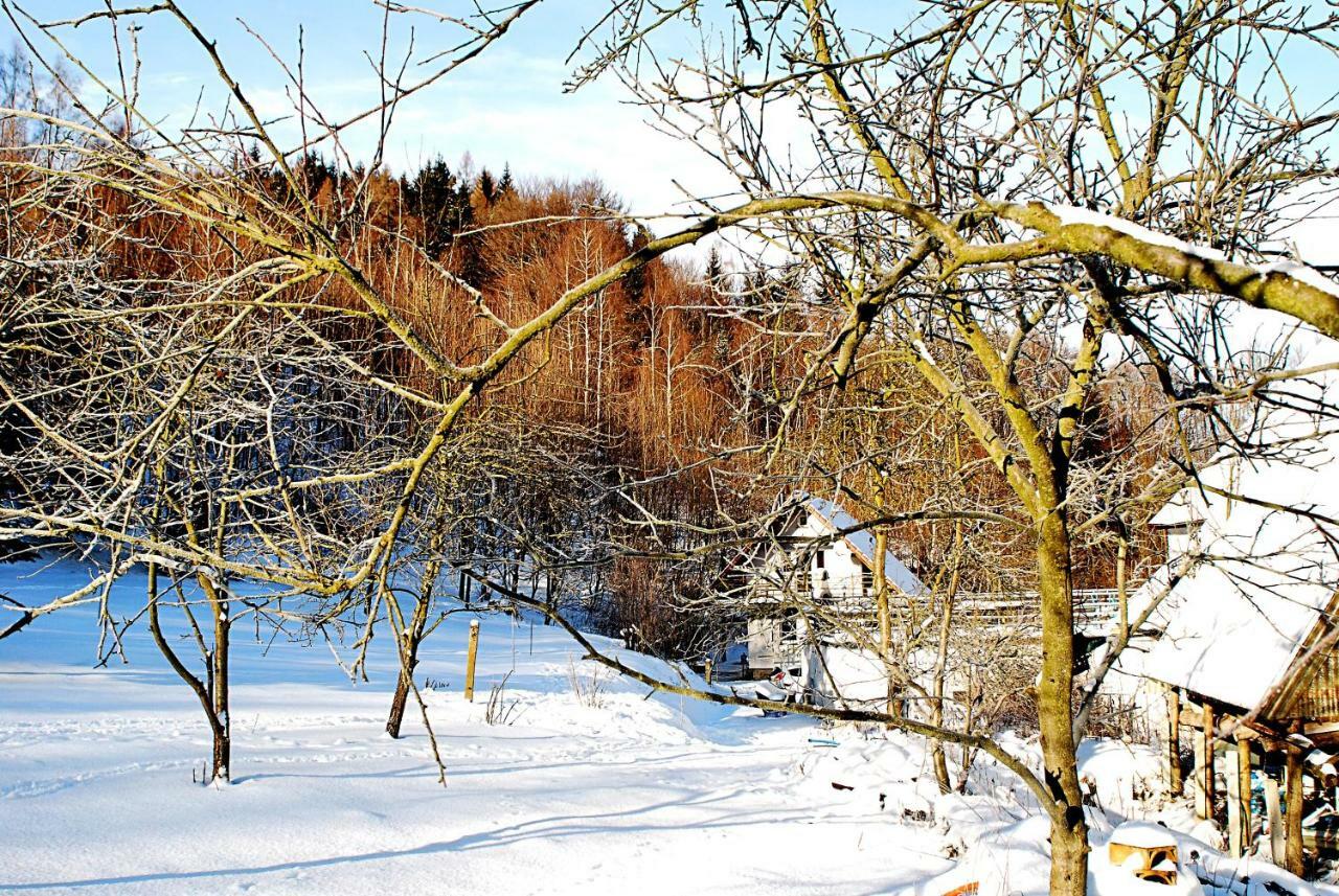 Biotanika Villa Michalkowa ภายนอก รูปภาพ