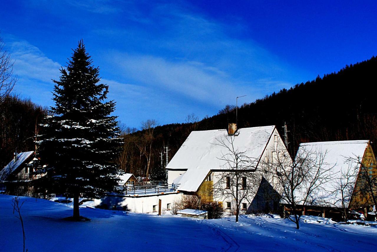 Biotanika Villa Michalkowa ภายนอก รูปภาพ